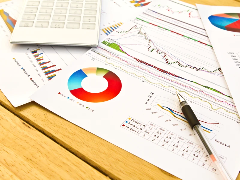 דוחות שנתיים והצהרות הון